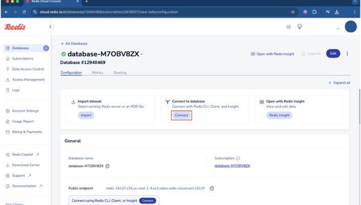 Redis Cloud database page with the Connect button highlighted