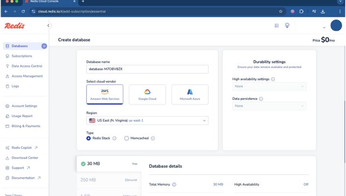Redis Cloud form for naming the database and choosing a cloud vendor