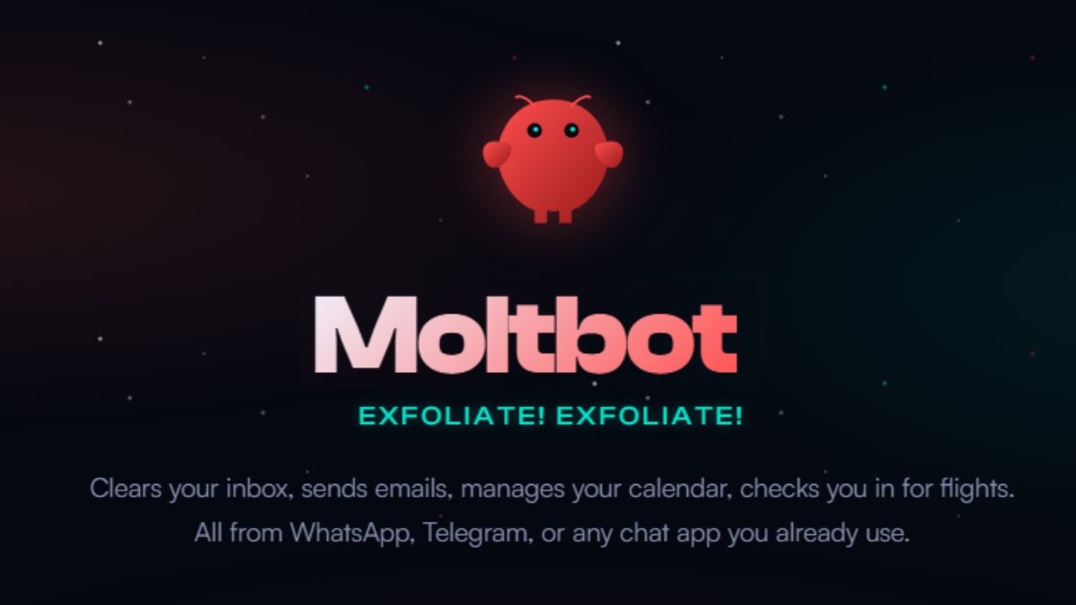 moltbot setup guide