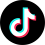 Download TikTok Videos